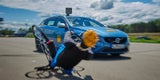 Notbremsassistenten im Test