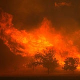 Kalifornien: Todes-Feuer außer Kontrolle