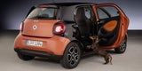 Trick macht Smart Hunde-tauglich