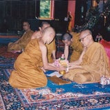 Mimi Tao