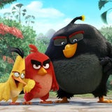"Angry Birds": Vögel & Schweine sind los