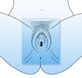 Vagina