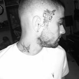 Zayn Malik