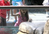 Katie Holmes & Suri: Auflug in den Tiergarten