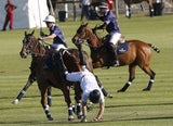 Prinz Harry fällt bei Polo Match vom Pferd