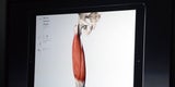 iPhone 6s, neue TV-Box & iPad Pro sind da