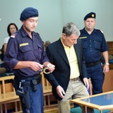 Hochegger in Handschellen vor Gericht