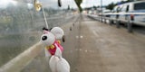Grenze Salzburg Freilassing
