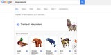 Google bringt geniale Suchfunktion
