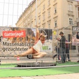 Poledance-Demo erregt Wiener Stephansplatz