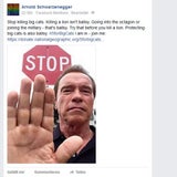 Arnie wettert gegen Löwen-Killer