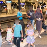 FP-Tschürtz: Heer als Flüchtlings-Transport