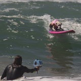 "Bruno" siegt bei Hundesurfcontest