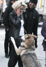 Rita Ora spielt mit Hund