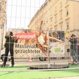 Poledance-Demo erregt Wiener Stephansplatz