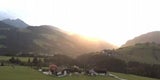 Tropen-Nacht in Österreich