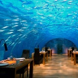 Maledives Conrad