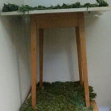 Cannabis "erschnüffelt"