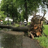 In der Region Knittelfeld (Bezirk Murtal) wurden durch das Unwetter Bäume entwurzelt