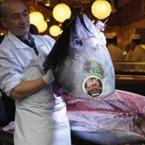 Teuerstes Sushi der Welt um 1,3 Millionen