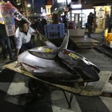 Teuerstes Sushi der Welt um 1,3 Millionen