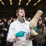 Giraffe "Marius" wurde wegen Inzuchtgefahr getötet