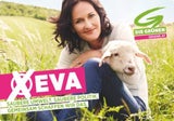 Grüne präsentieren 3. Plakatserie