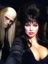 Die Halloween-Kostüme der Stars