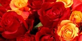 Valentinstag