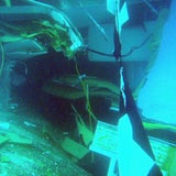 Costa Concordia-Bergung geht weiter