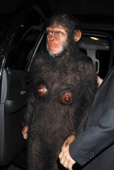 Heidi Klum - die Queen zu Halloween