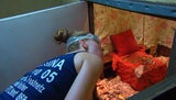 Tag acht im Dschungelcamp: Alle Bilder