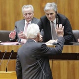 Stronachs letzte Rede im Parlament
