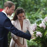 William & Kate verzaubern Singapur