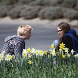 So sonnig war die Mittagspause in Wien
