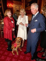 Camilla geht mit Hunden auf Tuchfühlung