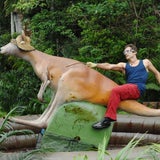 Tag elf im Dschungelcamp: Alle Bilder