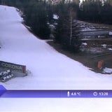 Turbo-Frühling mitten im Jänner