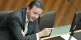 Biene-Maja-Show im Parlament