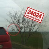 Todes-Crash auf der B4 - Lenker gepfählt