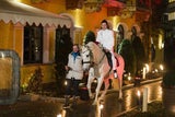"Bauer sucht Frau" am 29. Jänner