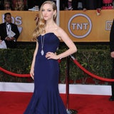 Red Carpet SAG Awards 2013