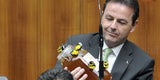 Biene-Maja-Show im Parlament