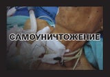 Russlands Zigarettenpackerl