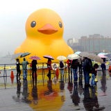 18-Meter-Gummiente durch Adler-Attacke in Taiwan zerstört