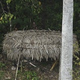 Indios ohne Kontakt zur Zivilisation entdeckt