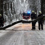 Winterchaos in der Steiermark