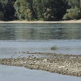 Totes Baby in Donau gefunden