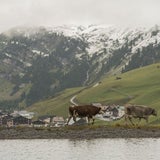 Schneefallgrenze sinkt auf 1600 Meter