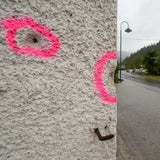 Schießerei mit Wilderer in NÖ